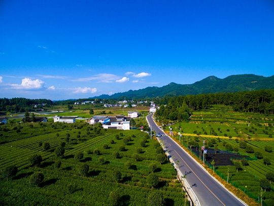 濱河大道二期道路工程