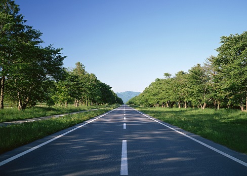 西咸新區空港新城景平大街(萬聯大道-廣德路）以及北杜大街（安德路-廣德路）結算審核工程